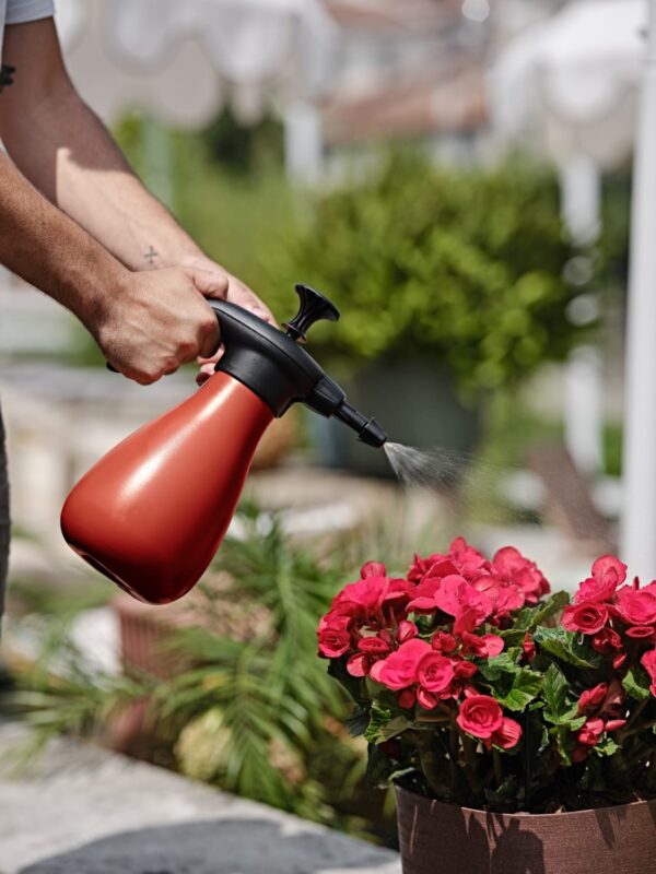 Surveprits Nebula sinine 1,75L