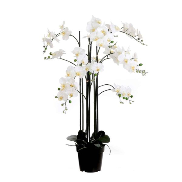 Kunstlill Phalaenopsis potis valge Ø35x h117cm