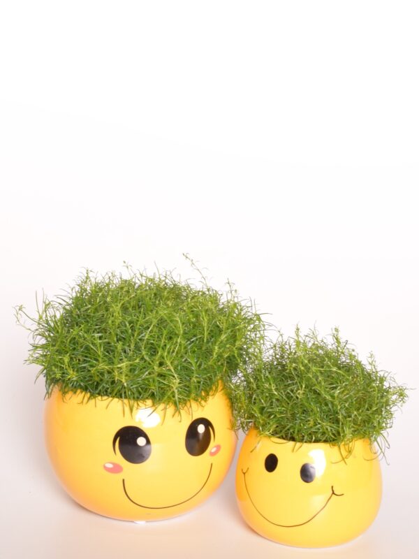 Nõeljas kesakann P6 ümbrispotis Emoji