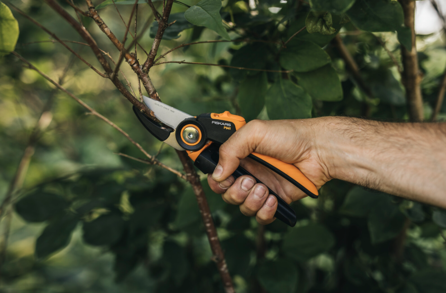 Kuvatõmmis 2026-04-07 103605