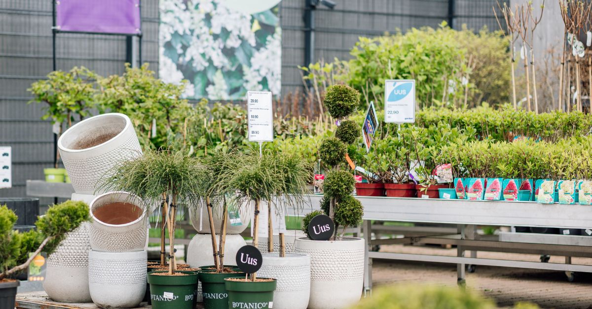 Untitled design (18)