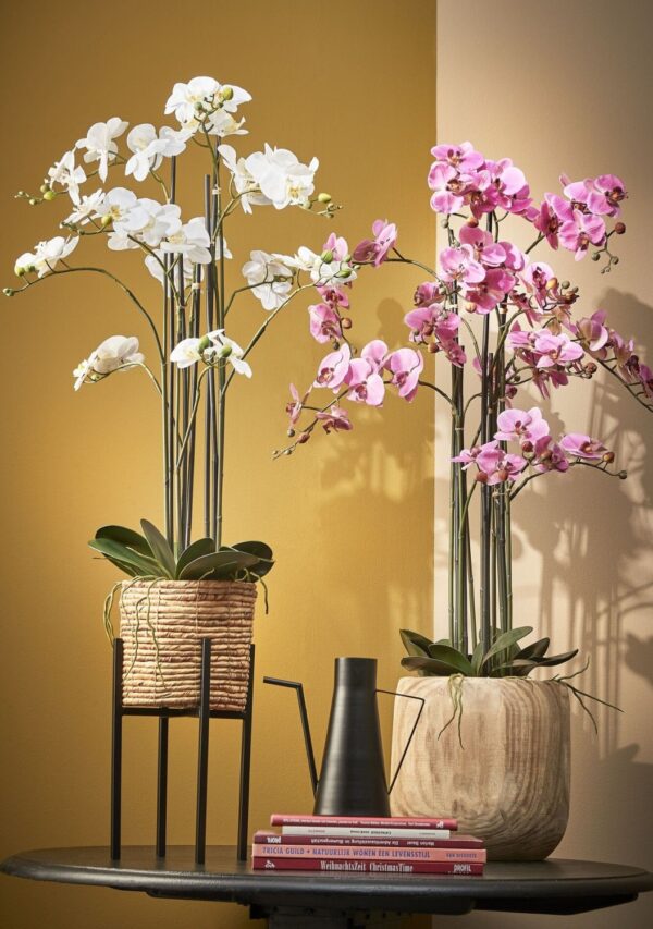 Kunstlill Phalaenopsis potis kreem- Ø19x h97cm