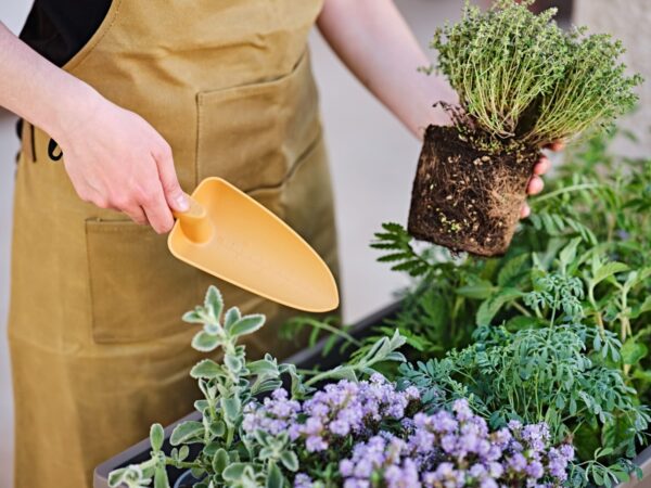 Aiakühvel Gaia L tumeroheline