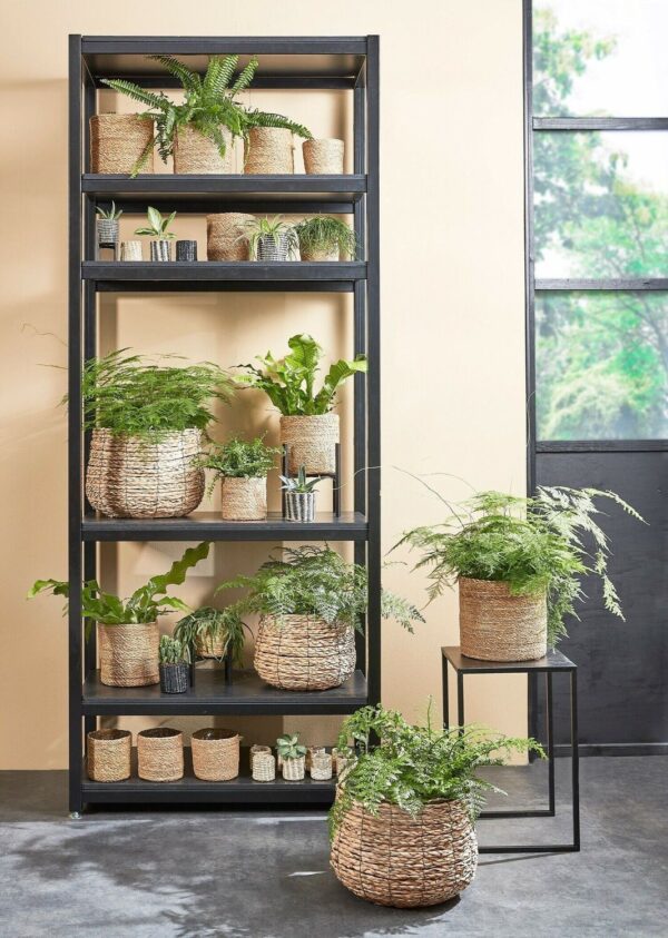 Punutud korv Avalon Ø26x h26cm helepruun