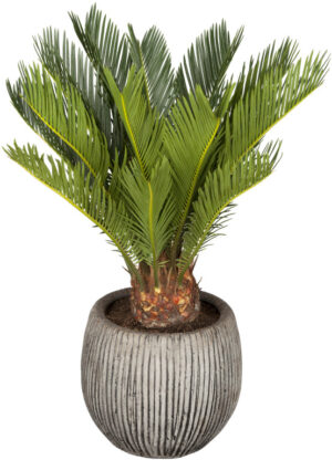 Rahu-palmlehik P15 40cm