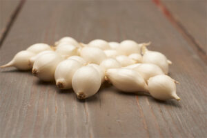 Tippsibul ‘Snowball’ (valge) 250g