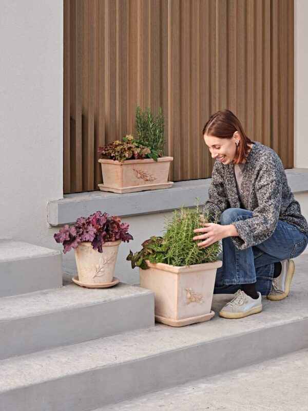 Savipott Galante 40x19x h15cm terrakota