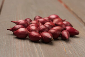 Tippsibul ‘Red Karmen’ 0,5kg