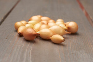 Tippsibul ‘Contado’ 0,5 kg