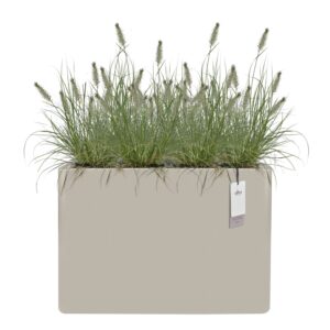 Lillepott June Brick Divider 80x30x h59cm beež