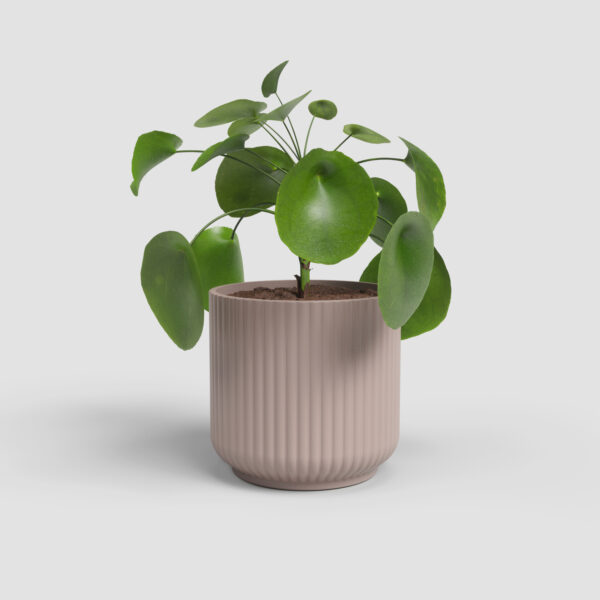 Lillepott Luna Ø11,5x h11cm roosa