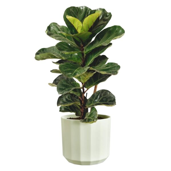 Lillepott Elho Facet Ø23x h20cm heleroheline
