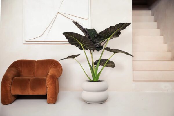 Lillepott Amber roll Ø60x h46cm valge