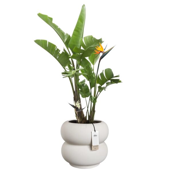 Lillepott Amber Roll Low Ø43x h40cm valge