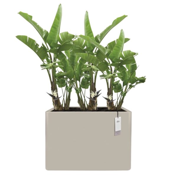Lillepott June Brick Divider 80x30x h59cm beež