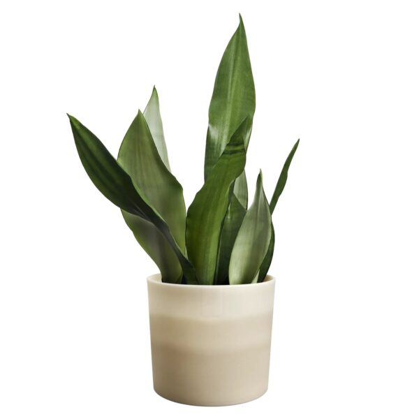 Lillepott Elho Colour Gradient Ø16× h15cm beež