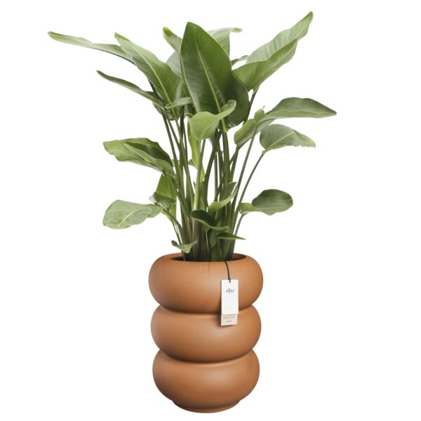 Lillepott Amber Roll High Ø43x h58cm karamell