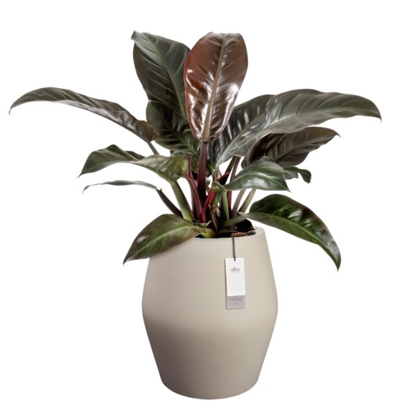 Lillepott June Split High Ø46x h53cm beež