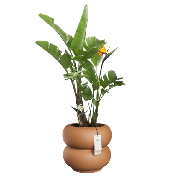 Lillepott Amber Roll Low Ø43x h40cm karamell