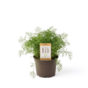 Aedtill P12 BIO