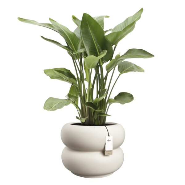 Lillepott Amber roll Ø60x h46cm valge