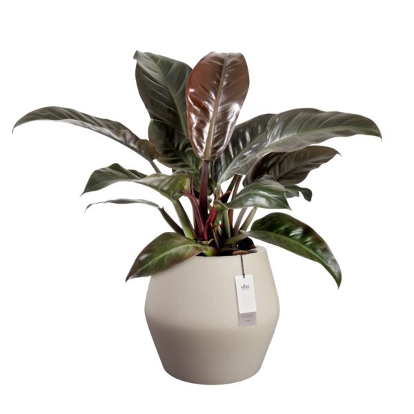 Lillepott June Split Low Ø46x h42cm beež