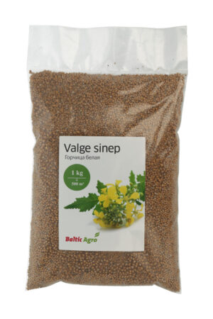 Valge sinep ‘Maryna’ 1kg