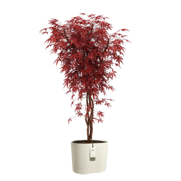 Lillepott Elho Eden Aquacare Ø40x h35cm valge