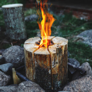 Lõkkepakk Norsewood