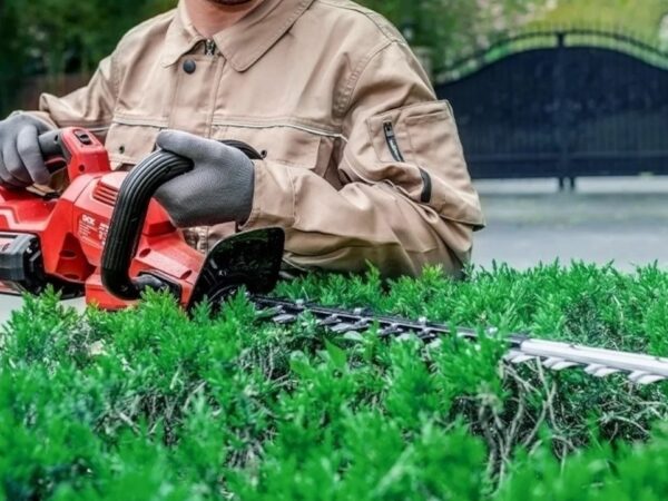 DCK hekilõikur 58V aku ja laadijaga