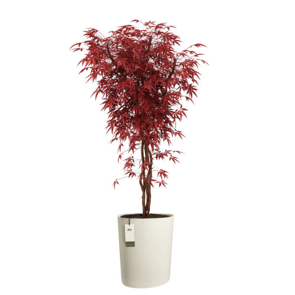 Lillepott Elho Eden Aquacare 40x39 h50cm valge
