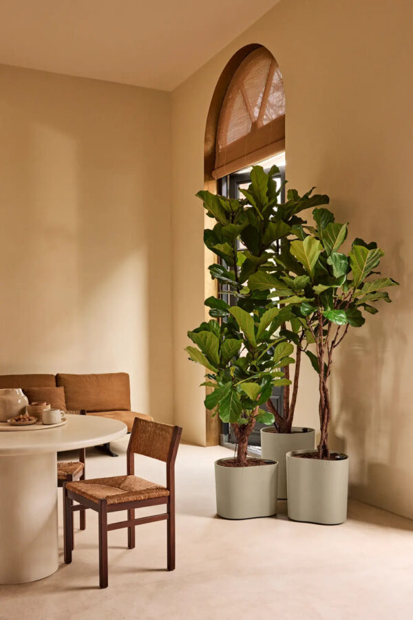 Lillepott Elho Eden Aquacare 40x38x h42cm beež