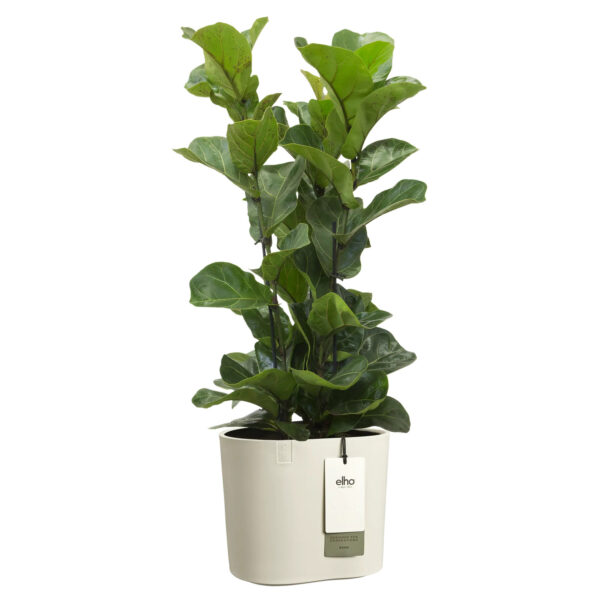 Lillepott Elho Eden Ø25x h23cm valge