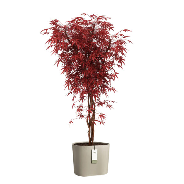 Lillepott Elho Eden Aquacare Ø40x h35cm beež