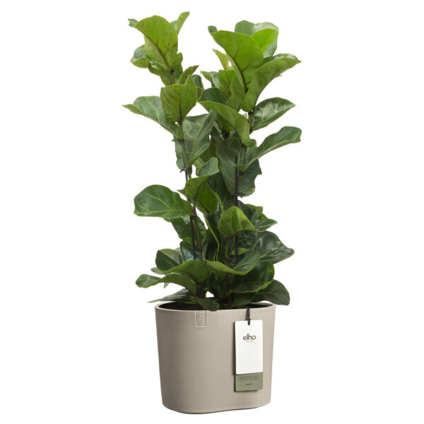 Lillepott Elho Eden Ø25x h23cm beež