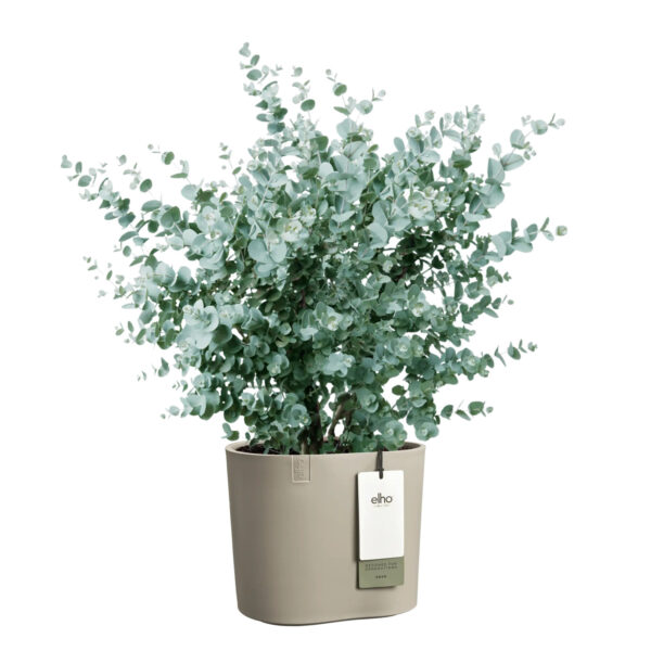 Lillepott Elho Eden Ø25x h23cm beež