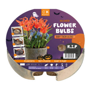 Biolagunev istutusalus Halloween tulp + kobarhüatsint