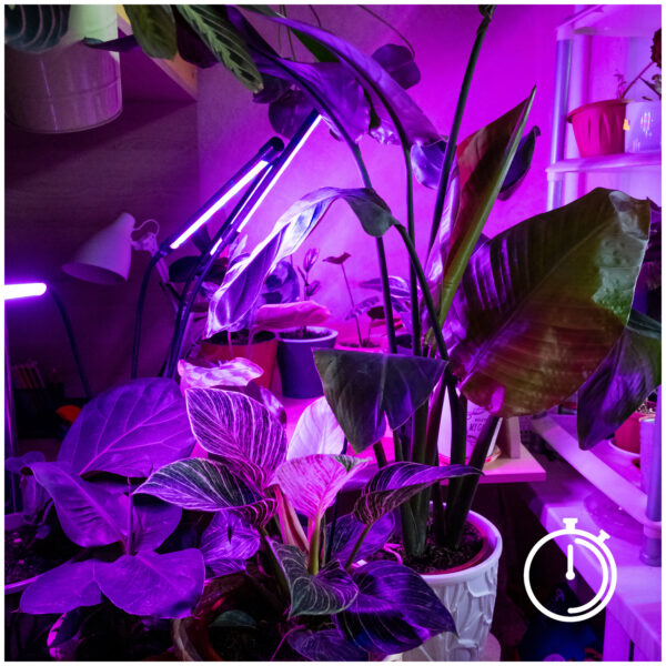 Taimelamp Vitaro LED 10W must