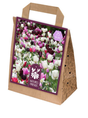Lillesibulate segu tolmeldajate lemmikud roosad toonid 25tk