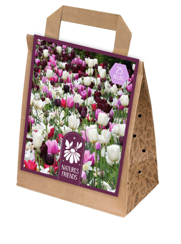 Lillesibulate segu tolmeldajate lemmikud roosad toonid 25tk