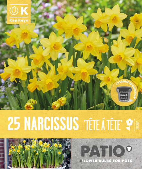 Nartsiss 'Tete a Tete' 25tk
