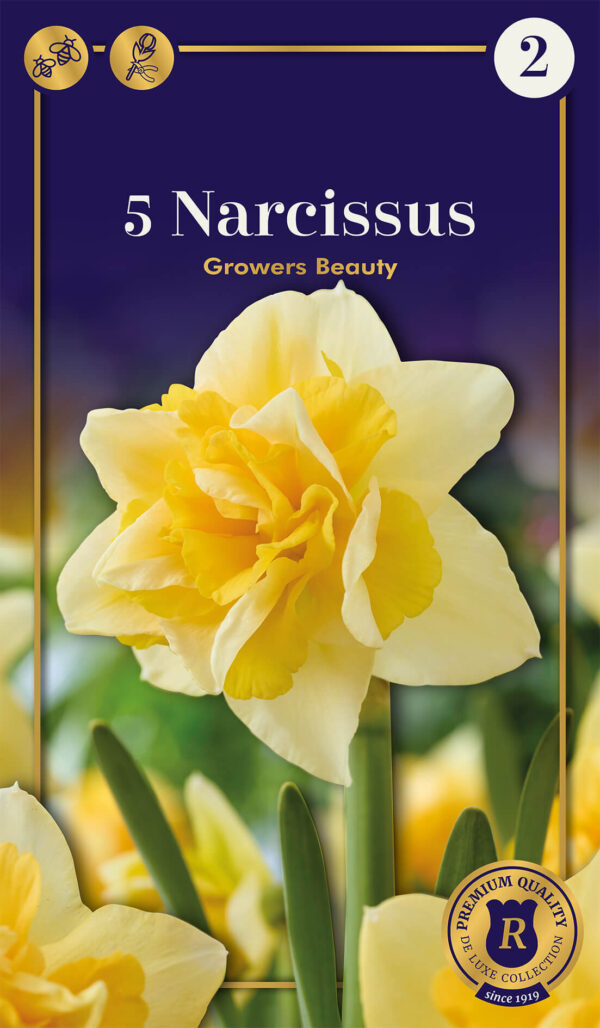 Nartsiss 'Growers Beauty' 5tk