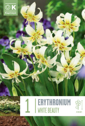 Koerahammas ‘White Beauty’ 1tk