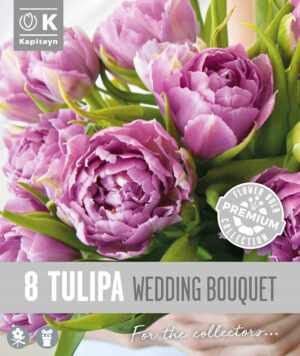 Tulp ‘Wedding Bouquet’ 8tk/pk