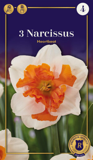 Nartsiss ‘Heartbeat’ 3tk