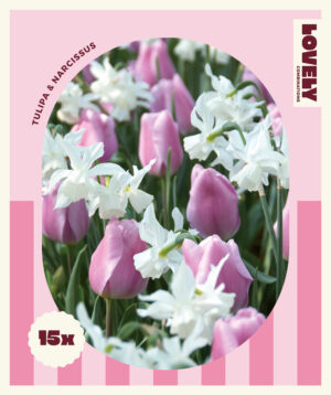 Segu tulp-nartsiss 15tk