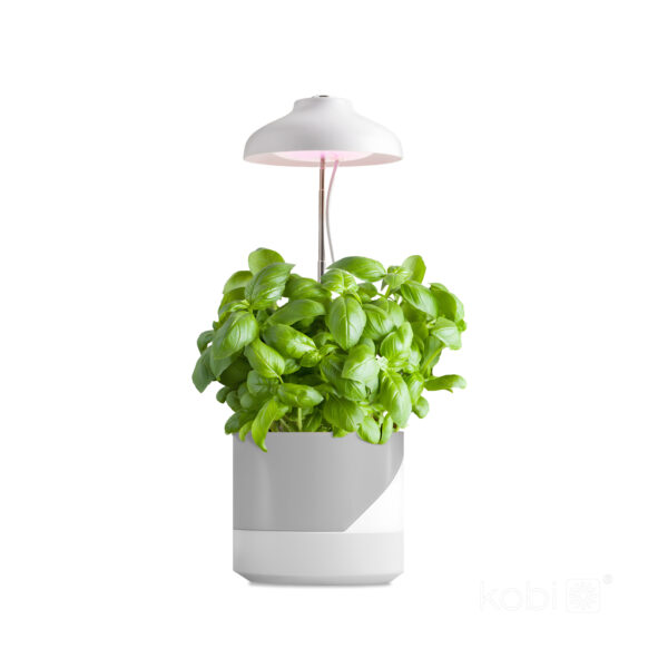 Taimelamp Verdi LED 5W valge