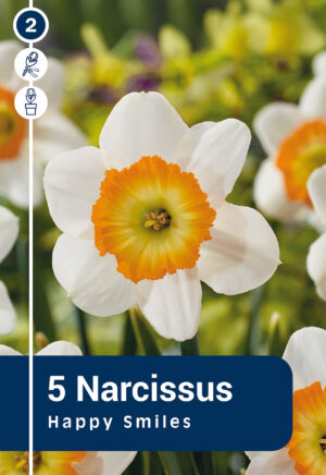Nartsiss ‘Happy Smiles’ 5tk