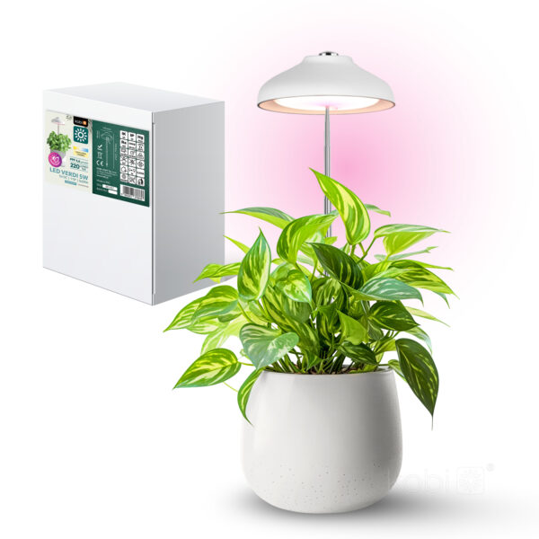 Taimelamp Verdi LED 5W valge