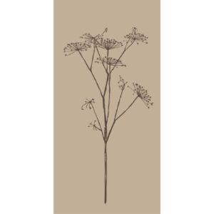 Pabersalvrätikud lillemustriga beež 40 × 40 cm, 16 tk.
